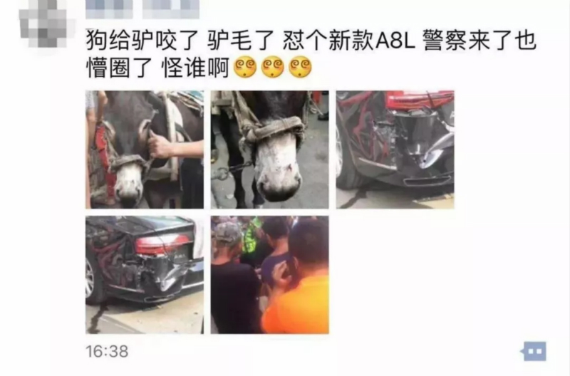 狗咬驴致驴踢坏车，责任由谁担？