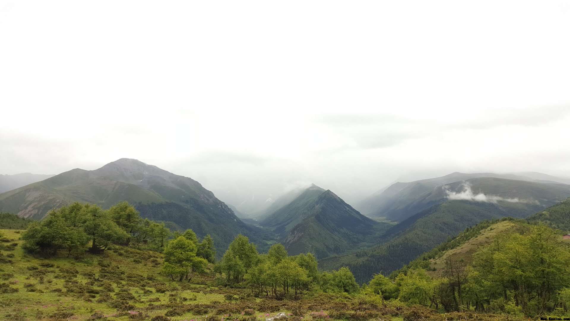 云南海泰廌合律师事务所云南游