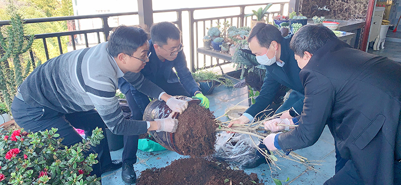 云南海泰廌合律师事务所开展植树种花活动