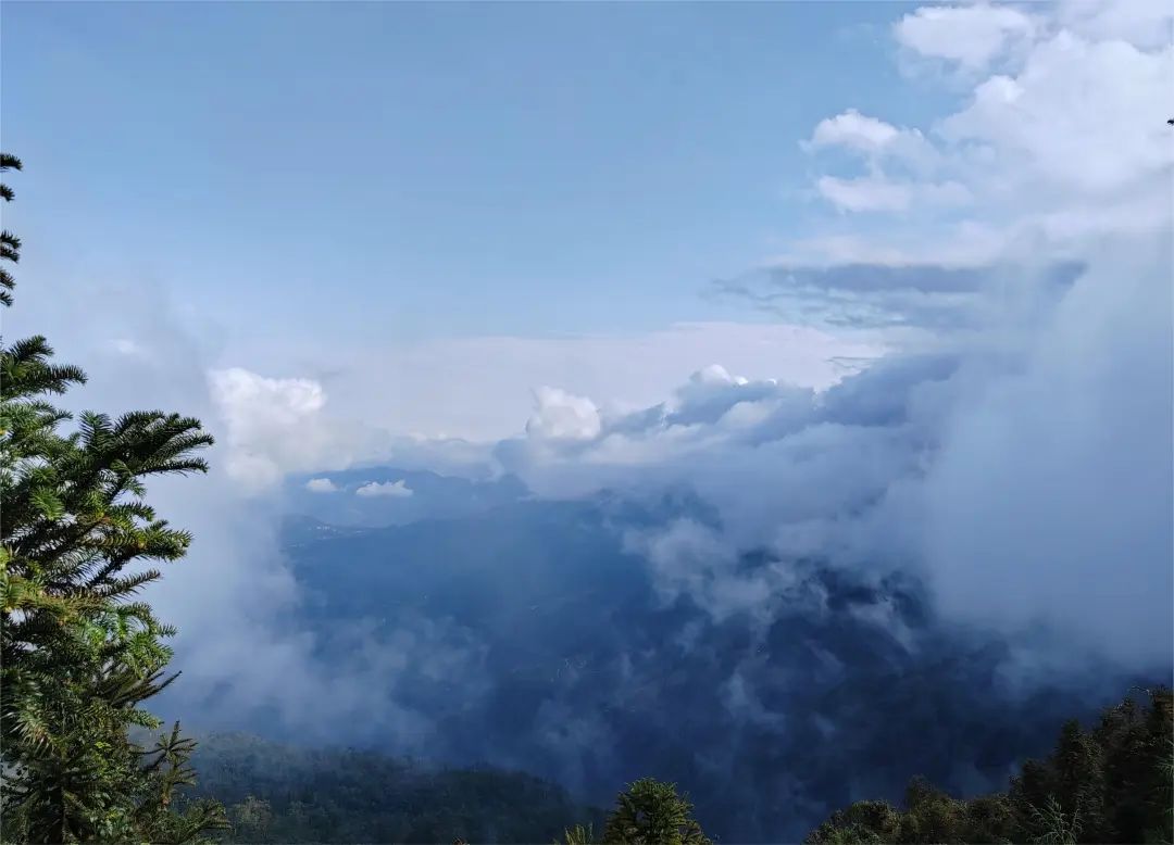 律所党建|我所党支部赴红河开展“探寻红色足迹,传承红色基因”爱国主题教育活动