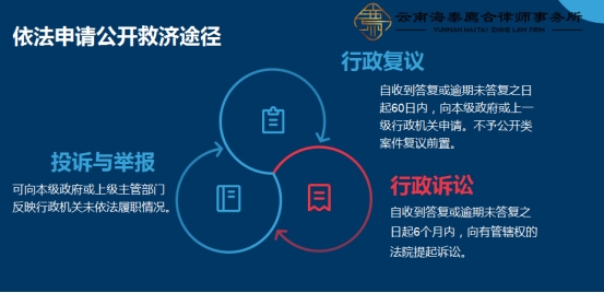 廌合动态|我所开展“政府信息公开实务解析”学习交流会