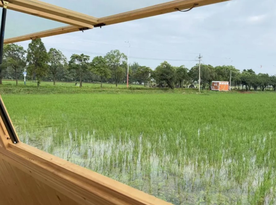 海泰财务 | 王海燕董事长镜头里的乡村振兴答卷:福保社区的美丽蜕变