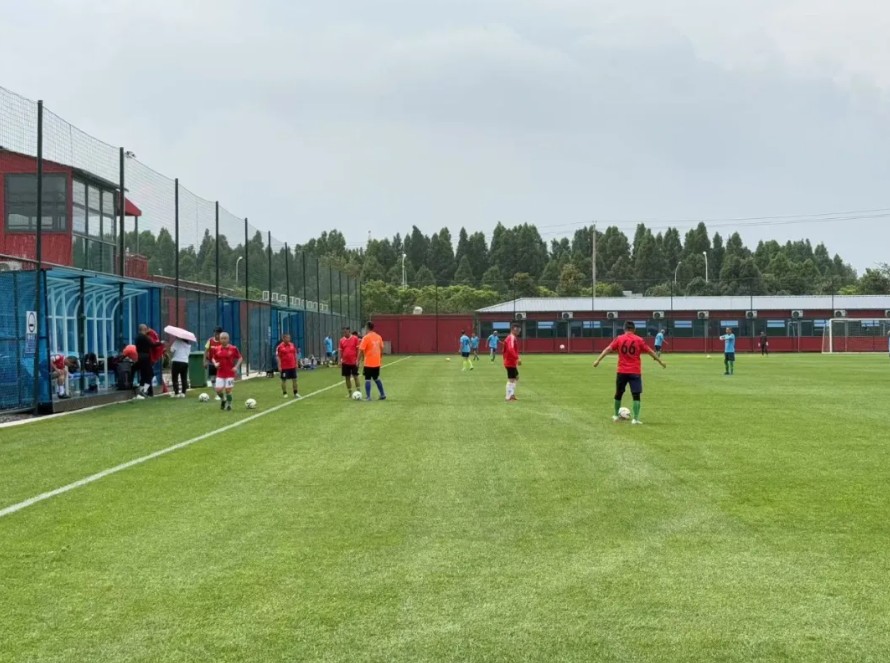 海泰财务 | 王海燕董事长镜头里的乡村振兴答卷:福保社区的美丽蜕变