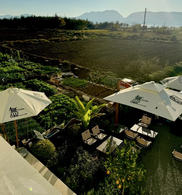 海泰财务 | 王海燕董事长镜头里的乡村振兴答卷:福保社区的美丽蜕变