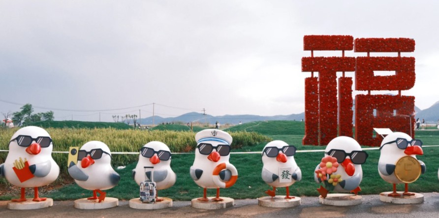 海泰财务 | 王海燕董事长镜头里的乡村振兴答卷:福保社区的美丽蜕变