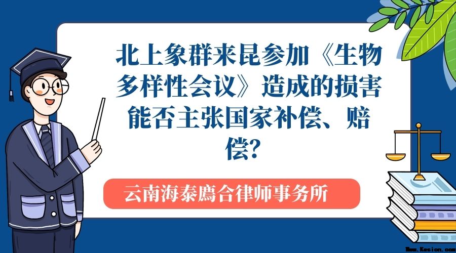 北上象群来昆参加《生物多样性会议》造成的损害能否主张国家补偿、赔偿？