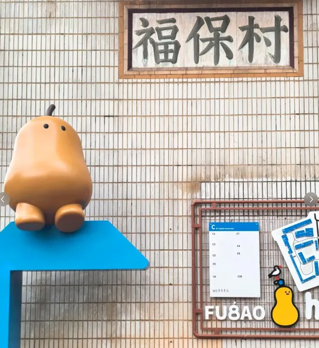 海泰财务 | 王海燕董事长镜头里的乡村振兴答卷：福保社区的美丽蜕变